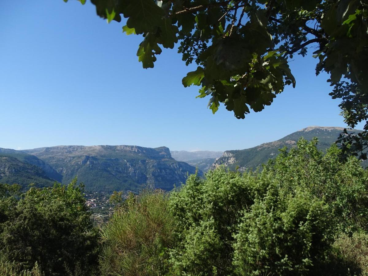 Luva D'Azur, Rez De Villa Le Riou - Le Vallon Le Bar-sur-Loup Buitenkant foto